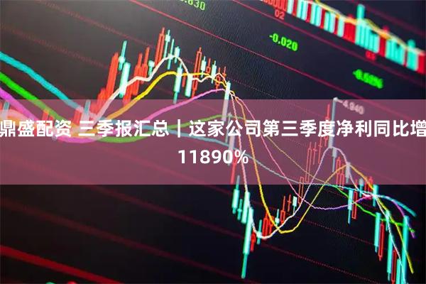 鼎盛配资 三季报汇总｜这家公司第三季度净利同比增11890%