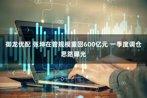 御龙优配 张坤在管规模重回600亿元 一季度调仓思路曝光