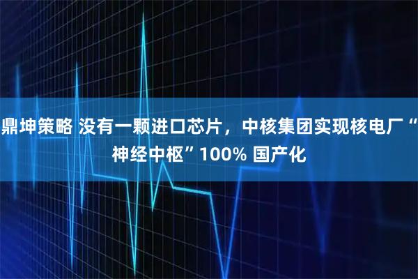 鼎坤策略 没有一颗进口芯片,中核集团实现核电厂“神经中枢”100% 国产化